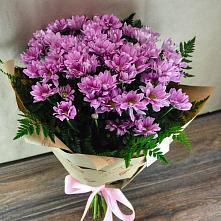 Букет цветов из:  Хризантемы #REPLACE_PRED# Бородках