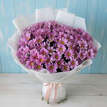 Букет цветов из:  Хризантемы в Бородках