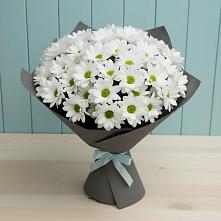 Букет цветов из:  Хризантемы в Бородках