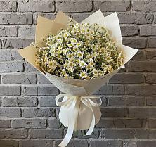 Букет цветов из:  Ромашки в Бородках