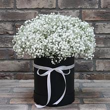 Цветочная композиция из Гипсофила в шляпной коробке в Бородках