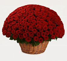 Премиум букет из: Розы в Бородках