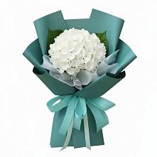 Букет цветов из:  Гортензия #REPLACE_PRED# Бородках